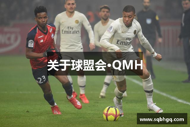 关于球盟会·QMH